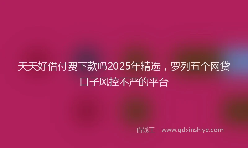 天天好借付费下款吗2025年精选，罗列五个网贷口子风控不严的平台