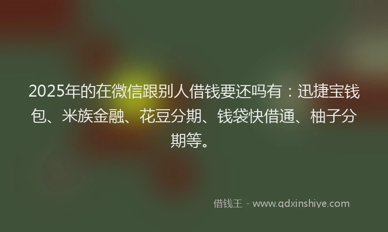 2025年的在微信跟别人借钱要还吗有：迅捷宝钱包、米族金融、花豆分期、钱袋快借通、柚子分期等。