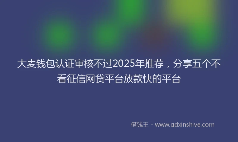 大麦钱包认证审核不过2025年推荐，分享五个不看征信网贷平台放款快的平台
