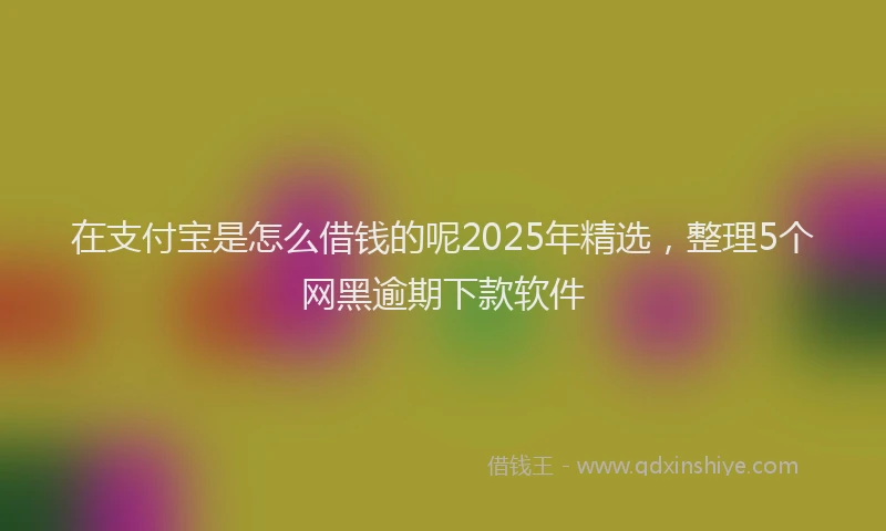 在支付宝是怎么借钱的呢2025年精选，整理5个网黑逾期下款软件