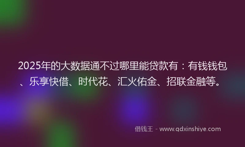 2025年的大数据通不过哪里能贷款有：有钱钱包、乐享快借、时代花、汇火佑金、招联金融等。