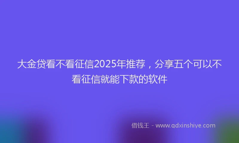 大金贷看不看征信2025年推荐，分享五个可以不看征信就能下款的软件