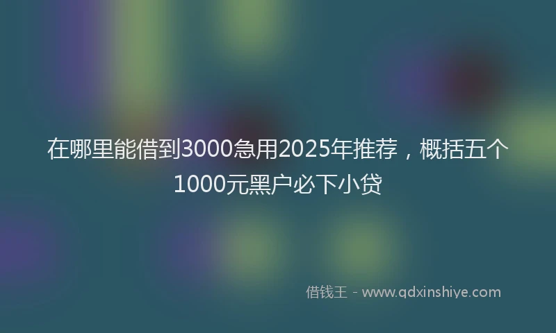 在哪里能借到3000急用2025年推荐，概括五个1000元黑户必下小贷