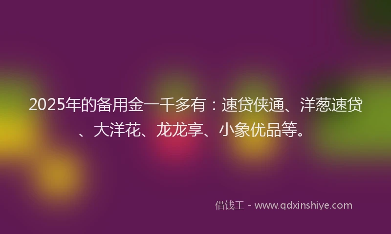 2025年的备用金一千多有：速贷侠通、洋葱速贷、大洋花、龙龙享、小象优品等。