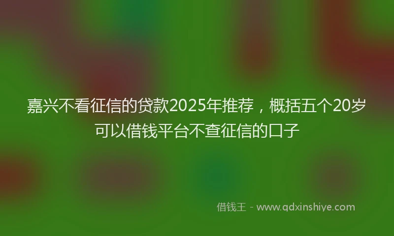 嘉兴不看征信的贷款2025年推荐，概括五个20岁可以借钱平台不查征信的口子