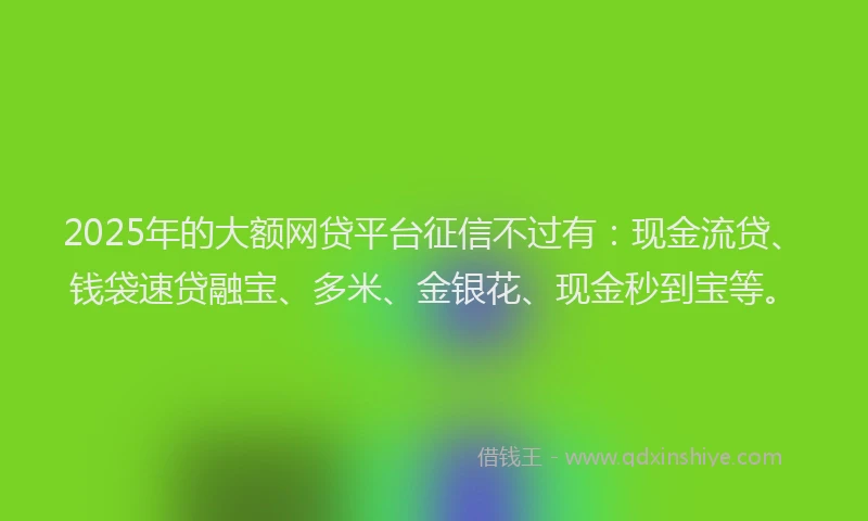 2025年的大额网贷平台征信不过有：现金流贷、钱袋速贷融宝、多米、金银花、现金秒到宝等。