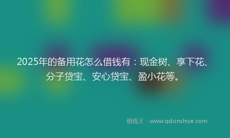2025年的备用花怎么借钱有：现金树、享下花、分子贷宝、安心贷宝、盈小花等。