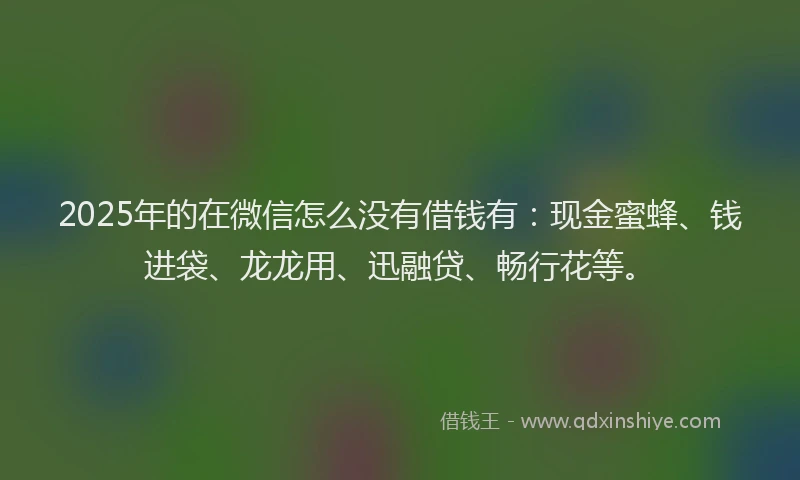 2025年的在微信怎么没有借钱有：现金蜜蜂、钱进袋、龙龙用、迅融贷、畅行花等。