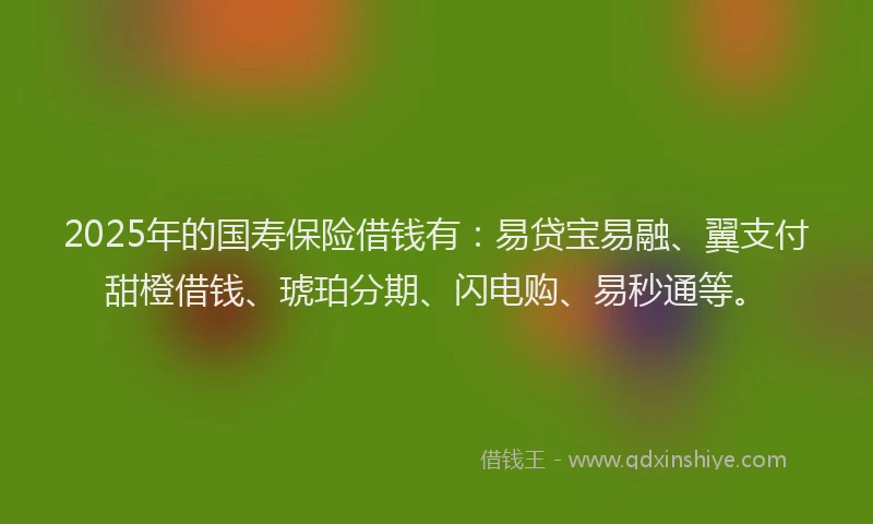 2025年的国寿保险借钱有：易贷宝易融、翼支付甜橙借钱、琥珀分期、闪电购、易秒通等。