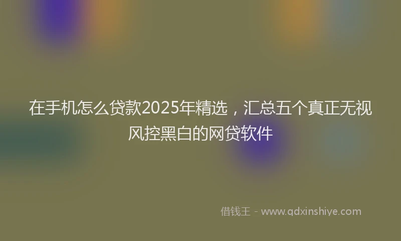 在手机怎么贷款2025年精选，汇总五个真正无视风控黑白的网贷软件