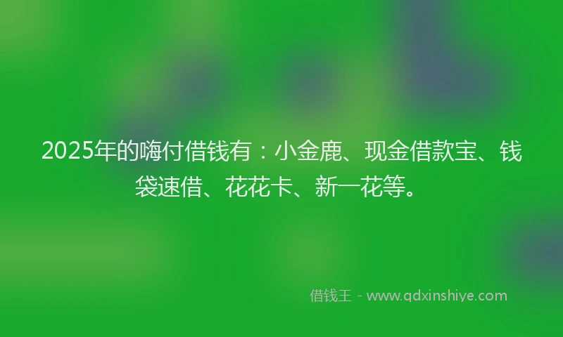 2025年的嗨付借钱有：小金鹿、现金借款宝、钱袋速借、花花卡、新一花等。