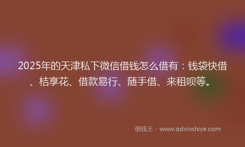 2025年的天津私下微信借钱怎么借有:钱袋快借、桔享花、借款易行、随手借、来租呗等。