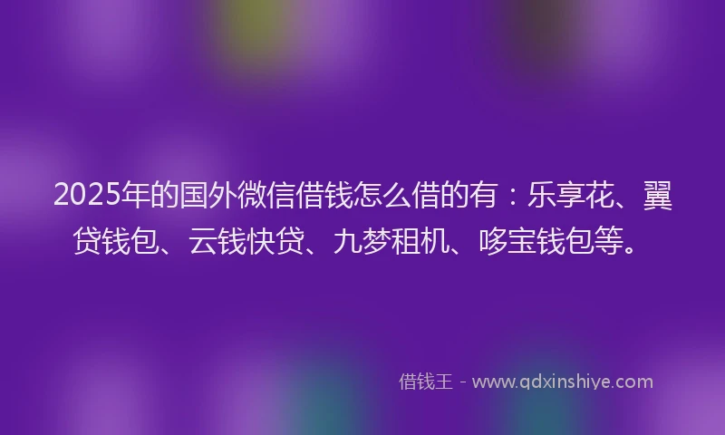 2025年的国外微信借钱怎么借的有：乐享花、翼贷钱包、云钱快贷、九梦租机、哆宝钱包等。