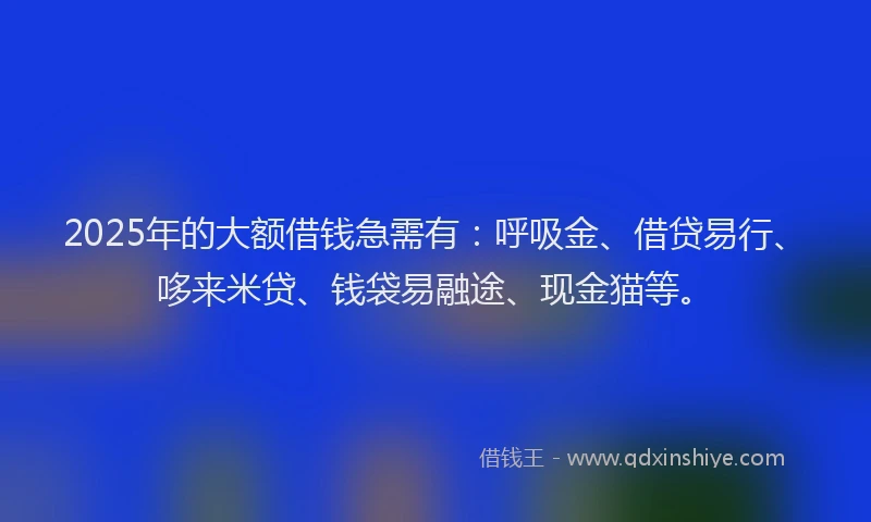 2025年的大额借钱急需有：呼吸金、借贷易行、哆来米贷、钱袋易融途、现金猫等。