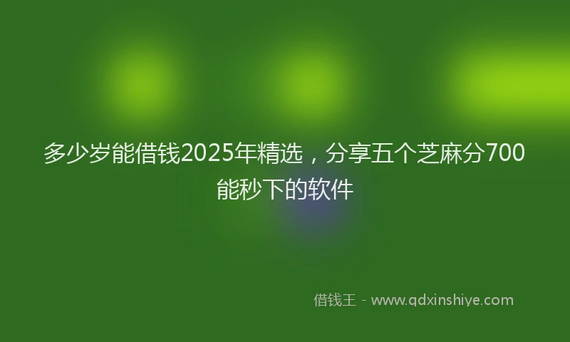 多少岁能借钱2025年精选，分享五个芝麻分700能秒下的软件
