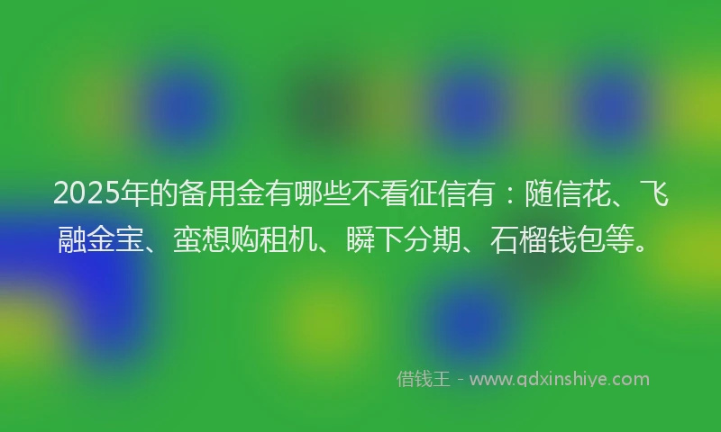 2025年的备用金有哪些不看征信有：随信花、飞融金宝、蛮想购租机、瞬下分期、石榴钱包等。