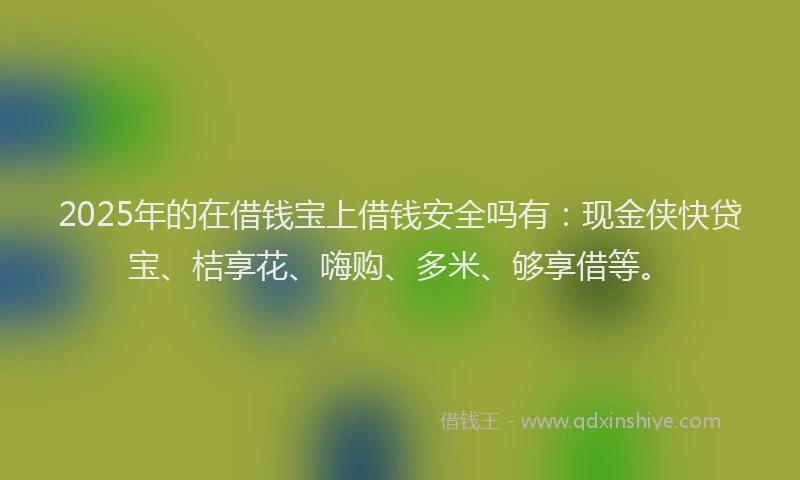 2025年的在借钱宝上借钱安全吗有：现金侠快贷宝、桔享花、嗨购、多米、够享借等。
