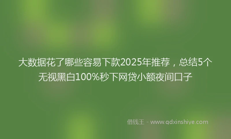 大数据花了哪些容易下款2025年推荐，总结5个无视黑白100%秒下网贷小额夜间口子