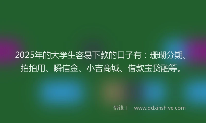 2025年的大学生容易下款的口子有：珊瑚分期、拍拍用、瞬信金、小吉商城、借款宝贷融等。