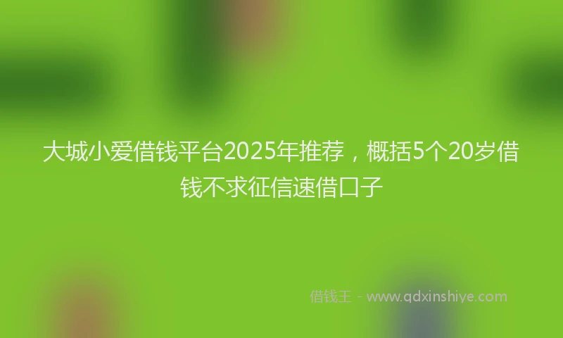 大城小爱借钱平台2025年推荐，概括5个20岁借钱不求征信速借口子
