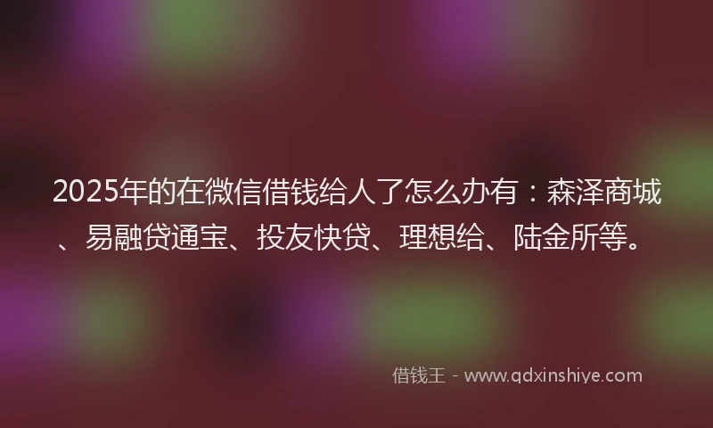 2025年的在微信借钱给人了怎么办有：森泽商城、易融贷通宝、投友快贷、理想给、陆金所等。