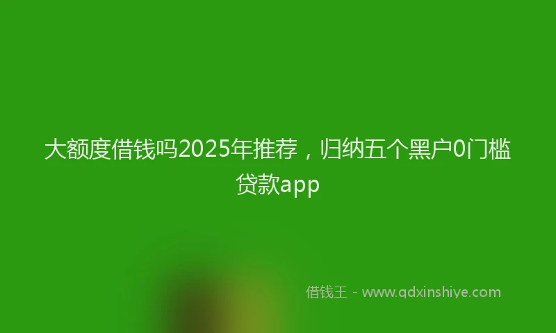 大额度借钱吗2025年推荐，归纳五个黑户0门槛贷款app