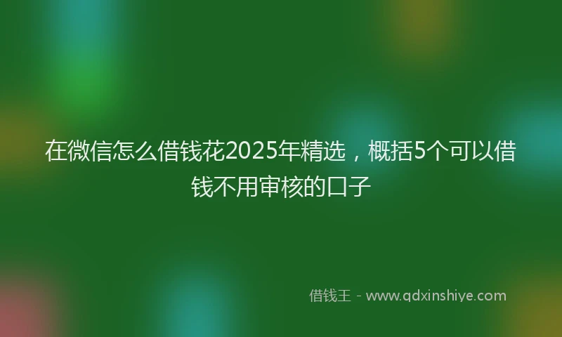 在微信怎么借钱花2025年精选，概括5个可以借钱不用审核的口子