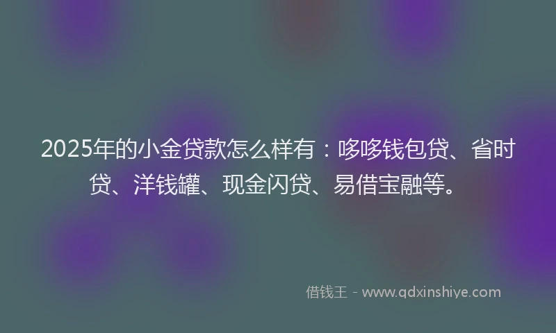 2025年的小金贷款怎么样有：哆哆钱包贷、省时贷、洋钱罐、现金闪贷、易借宝融等。