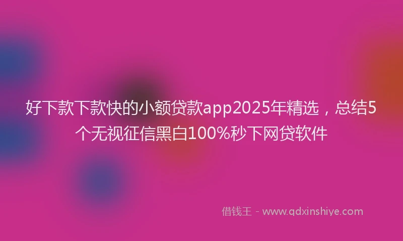 好下款下款快的小额贷款app2025年精选，总结5个无视征信黑白100%秒下网贷软件