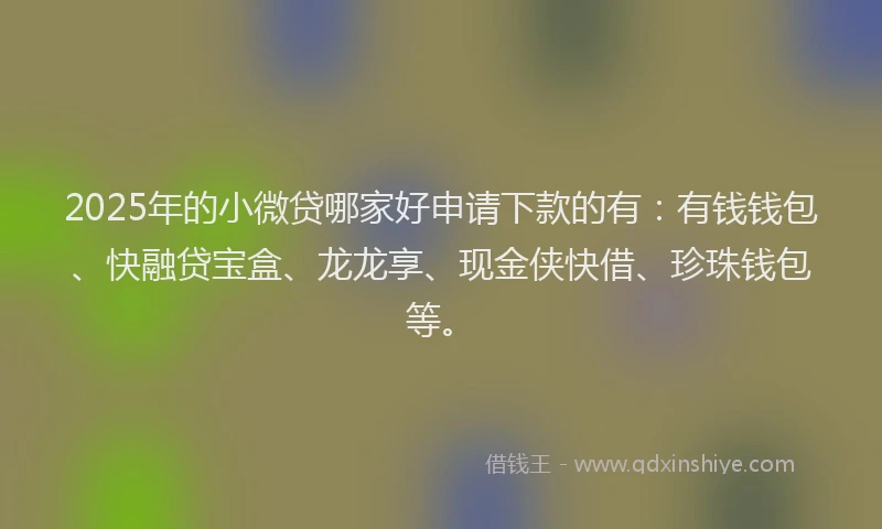 2025年的小微贷哪家好申请下款的有：有钱钱包、快融贷宝盒、龙龙享、现金侠快借、珍珠钱包等。