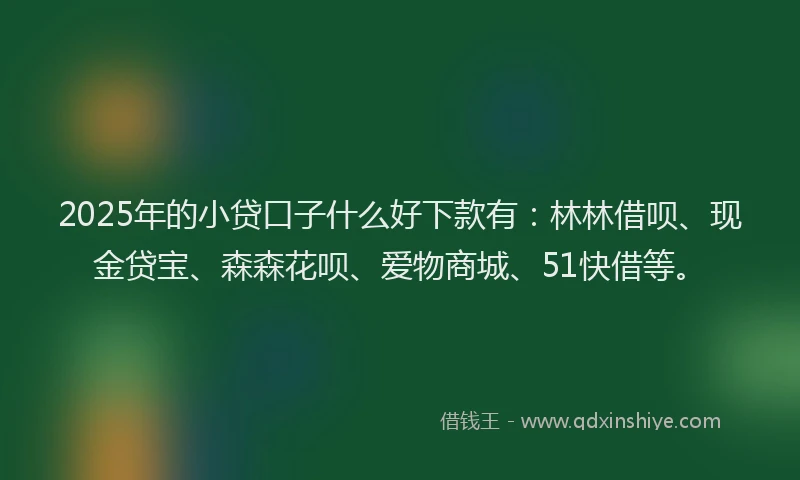 2025年的小贷口子什么好下款有：林林借呗、现金贷宝、森森花呗、爱物商城、51快借等。