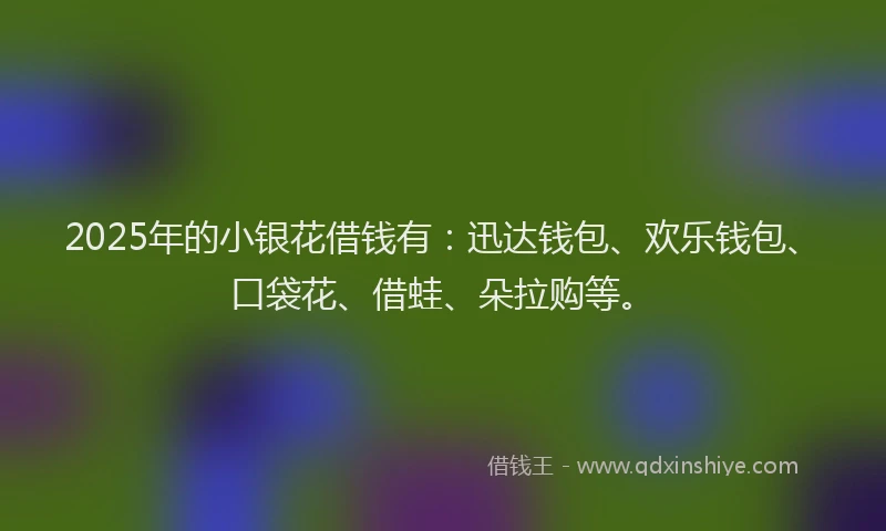 2025年的小银花借钱有：迅达钱包、欢乐钱包、口袋花、借蛙、朵拉购等。