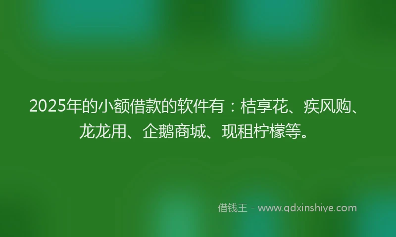 2025年的小额借款的软件有：桔享花、疾风购、龙龙用、企鹅商城、现租柠檬等。