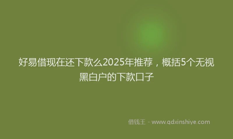 好易借现在还下款么2025年推荐，概括5个无视黑白户的下款口子