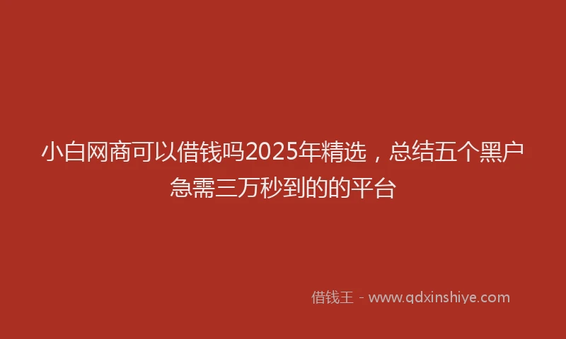 小白网商可以借钱吗2025年精选，总结五个黑户急需三万秒到的的平台