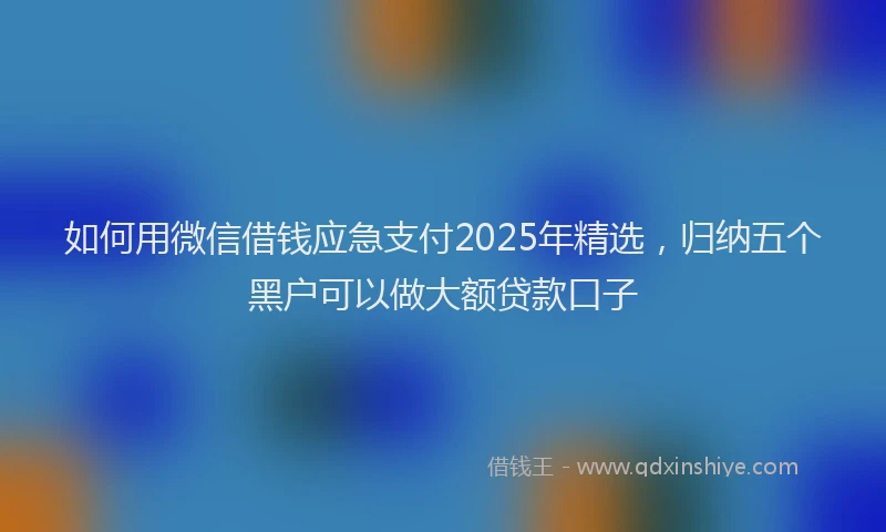 如何用微信借钱应急支付2025年精选，归纳五个黑户可以做大额贷款口子