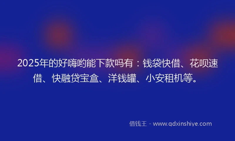 2025年的好嗨哟能下款吗有：钱袋快借、花呗速借、快融贷宝盒、洋钱罐、小安租机等。