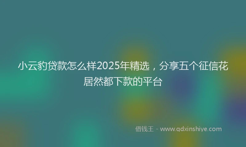 小云豹贷款怎么样2025年精选，分享五个征信花居然都下款的平台