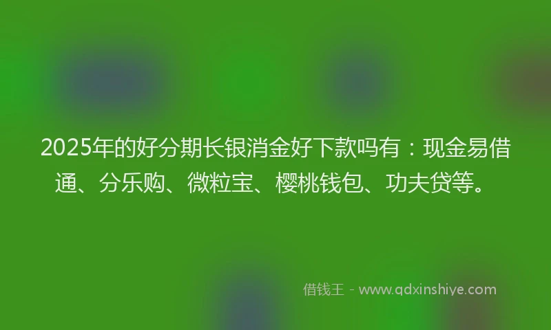 2025年的好分期长银消金好下款吗有：现金易借通、分乐购、微粒宝、樱桃钱包、功夫贷等。