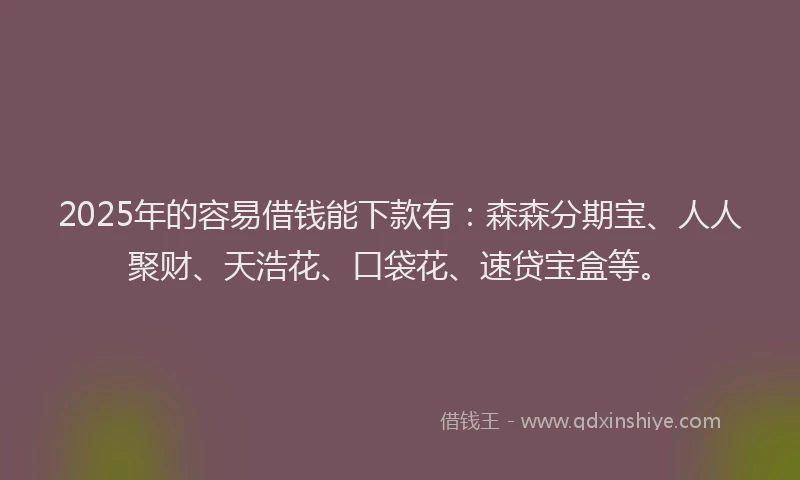 2025年的容易借钱能下款有：森森分期宝、人人聚财、天浩花、口袋花、速贷宝盒等。