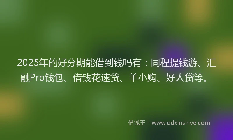 2025年的好分期能借到钱吗有：同程提钱游、汇融Pro钱包、借钱花速贷、羊小购、好人贷等。