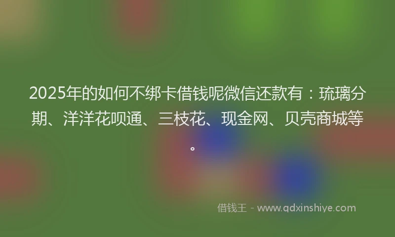 2025年的如何不绑卡借钱呢微信还款有：琉璃分期、洋洋花呗通、三枝花、现金网、贝壳商城等。