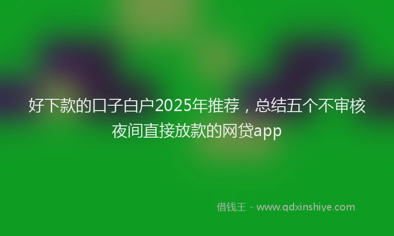 好下款的口子白户2025年推荐，总结五个不审核夜间直接放款的网贷app