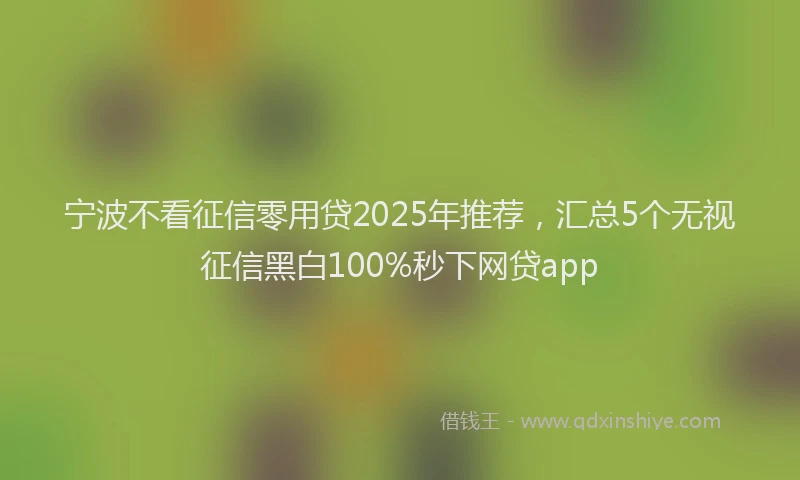 宁波不看征信零用贷2025年推荐，汇总5个无视征信黑白100%秒下网贷app