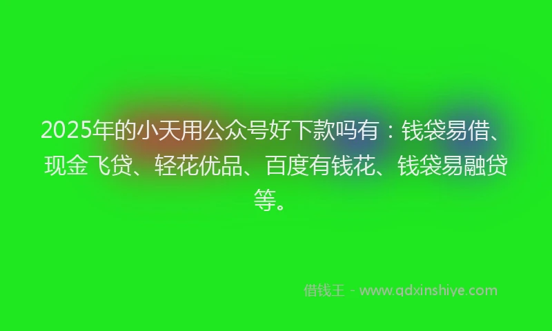 2025年的小天用公众号好下款吗有：钱袋易借、现金飞贷、轻花优品、百度有钱花、钱袋易融贷等。