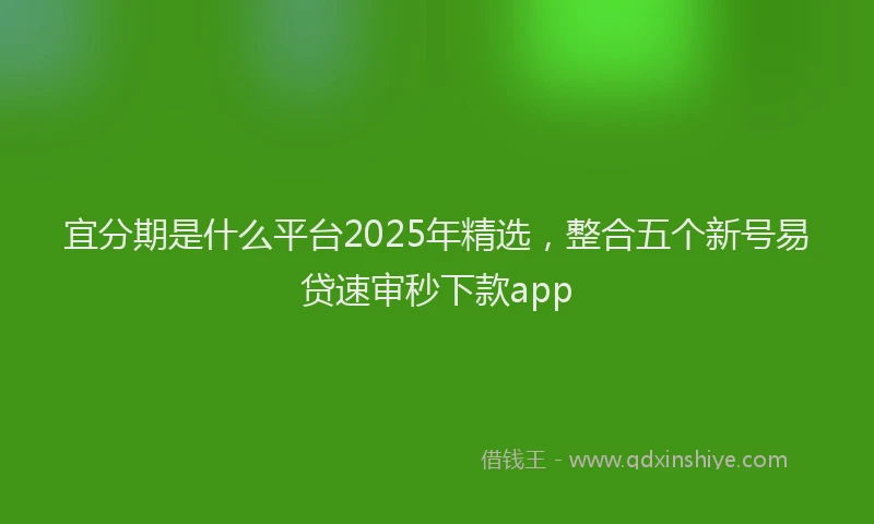 宜分期是什么平台2025年精选，整合五个新号易贷速审秒下款app