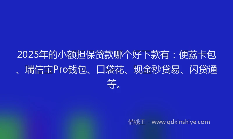 2025年的小额担保贷款哪个好下款有：便荔卡包、瑞信宝Pro钱包、口袋花、现金秒贷易、闪贷通等。