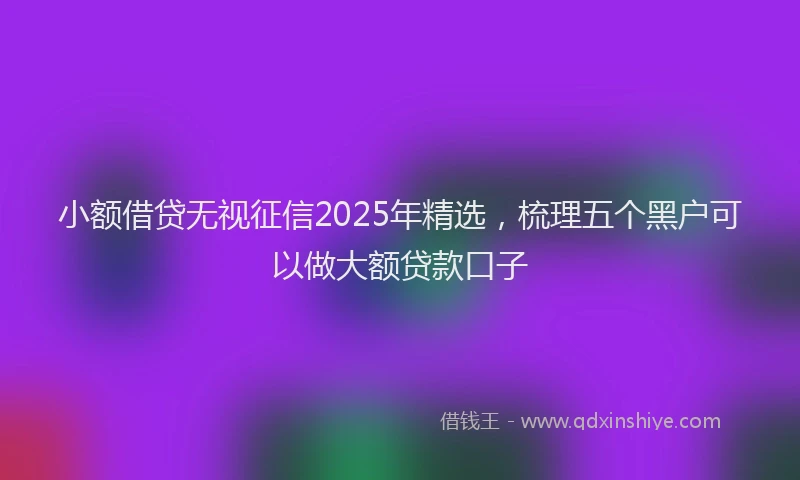 小额借贷无视征信2025年精选，梳理五个黑户可以做大额贷款口子