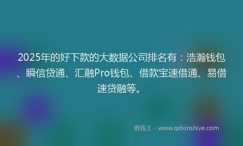 2025年的好下款的大数据公司排名有：浩瀚钱包、瞬信贷通、汇融Pro钱包、借款宝速借通、易借速贷融等。