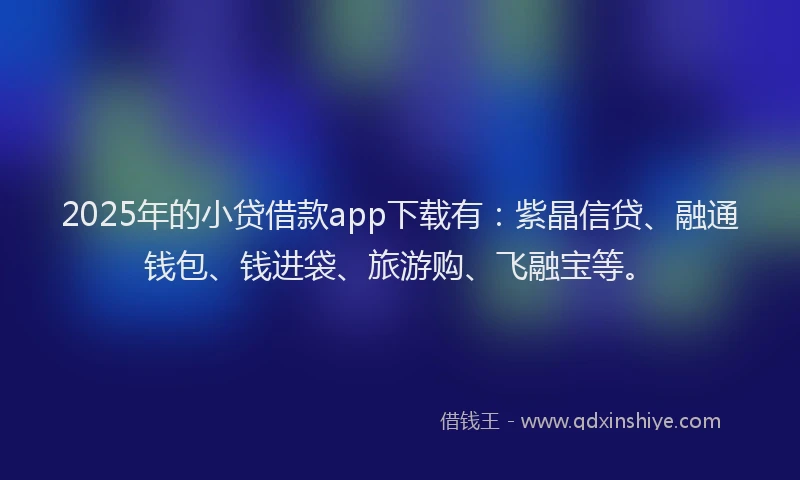 2025年的小贷借款app下载有：紫晶信贷、融通钱包、钱进袋、旅游购、飞融宝等。